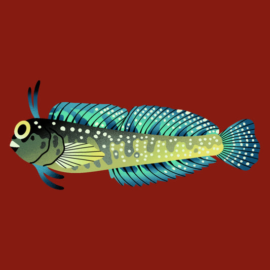 Pretty Fish Sticker