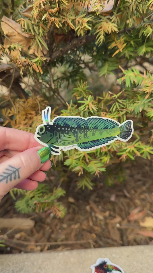 Pretty Fish Sticker